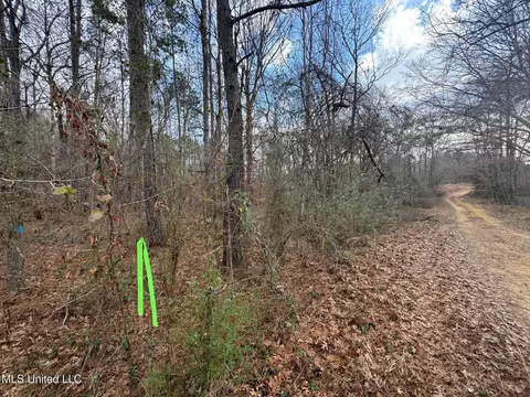 Sellars Road, Smithdale, MS 39664 photo 3