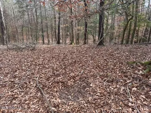 Sellars Road, Smithdale, MS 39664 photo 19