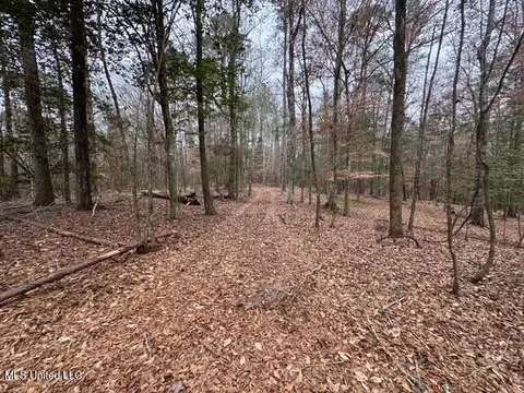Sellars Road, Smithdale, MS 39664 photo 8