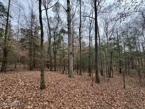 Sellars Road, Smithdale, MS 39664 photo 9