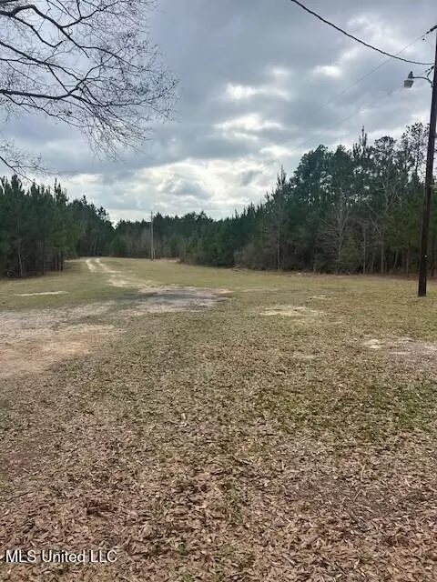 Other - 3339 Mound Rd, Wesson, MS 39191 photo 4 of 8