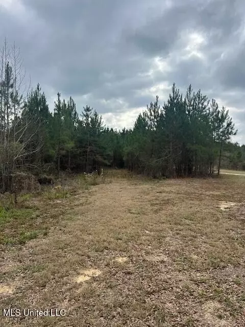 Other - 3339 Mound Rd, Wesson, MS 39191 photo 6 of 8