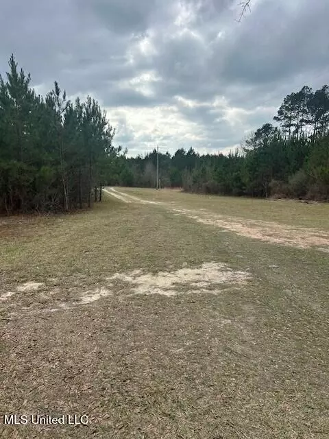 Other - 3339 Mound Rd, Wesson, MS 39191 photo 5 of 8