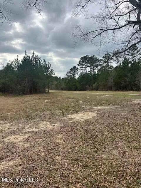 Other - 3339 Mound Rd, Wesson, MS 39191 photo 7 of 8