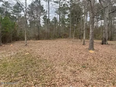 Other - 3339 Mound Rd, Wesson, MS 39191 photo 8 of 8