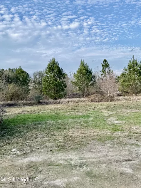 Other - 7005 Whites Farm Rd, Lucedale, MS 39452 photo 3 of 3