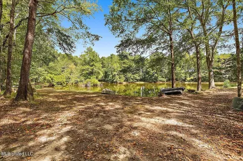 2568 Highway 481, Raleigh, MS 39153