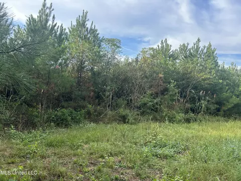 N River Road, Summit, MS 39666 photo 3
