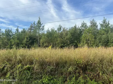 N River Road, Summit, MS 39666 photo 5