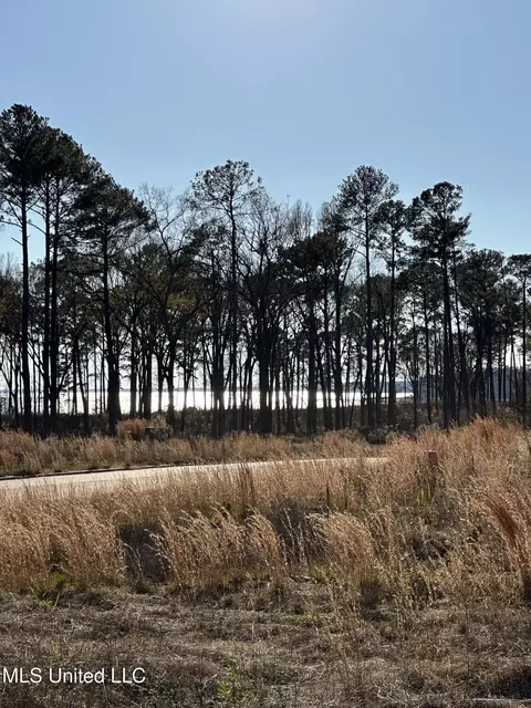 103 Venus Dr, Canton, MS 39046 photo 2