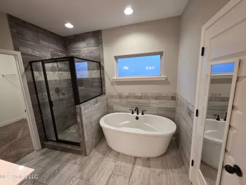 Bath - 1107 Sabrina Dr, Hernando, MS 38632 photo 1 of 5