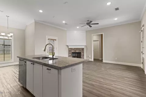 Living - 329 Willow Way, Canton, MS 39046 photo 2 of 2