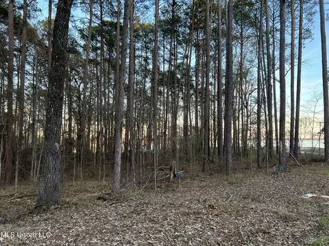 142 Apollo Way, Canton, MS 39046 photo 2