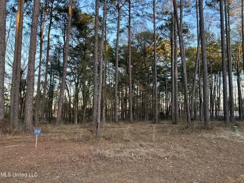 136 Apollo Way, Canton, MS 39046 photo 3