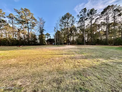 239 Hwy 44, Jayess, MS 39641 photo 18