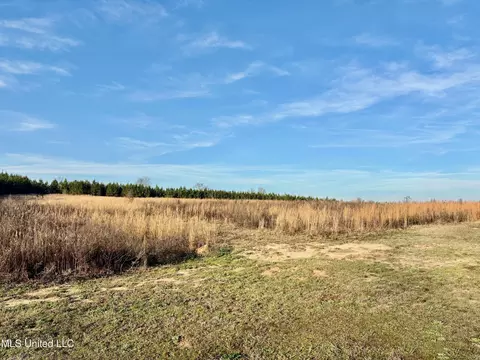 239 Hwy 44, Jayess, MS 39641 photo 4