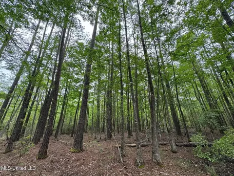 0 Texas Flat Rd, Kiln, MS 39556 photo 5