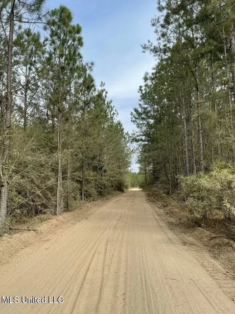 0 Texas Flat Rd, Kiln, MS 39556 photo 2