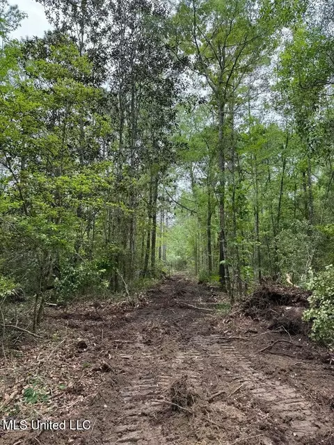 0 Texas Flat Rd, Kiln, MS 39556 photo 6
