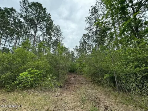 0 Texas Flat Rd, Kiln, MS 39556 photo 7