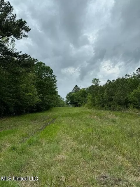 0 Texas Flat Rd, Kiln, MS 39556 photo 8