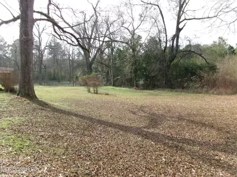 Exterior - 3807 Front St, Silver Creek, MS 39663 photo 8 of 8