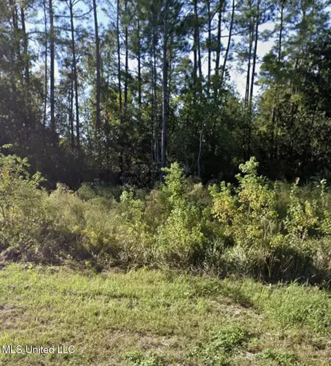 Coal Wood Street, Gautier, MS 39553