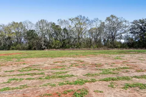 Other - 220 Marshall Smith Rd, Lucedale, MS 39452 photo 4 of 4