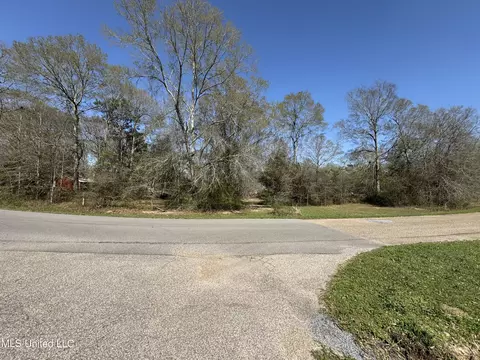 00 Cedar Wood Dr, Perkinston, MS 39573