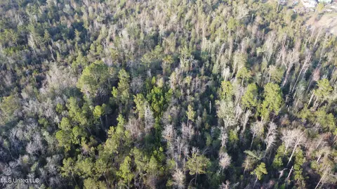 S County Line Road, Columbia, MS 39429
