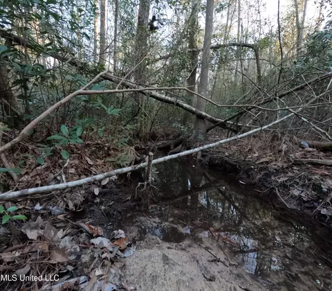 S County Line Road, Columbia, MS 39429