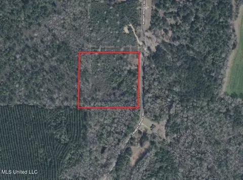 Robert Rhodes Road, Poplarville, MS 39470