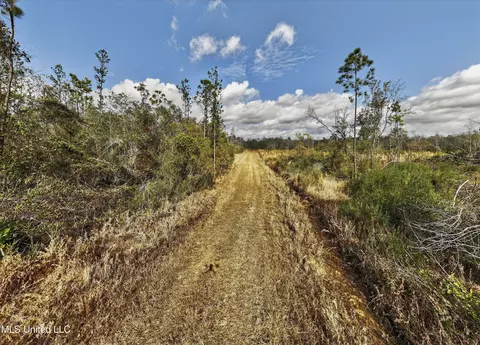 745 Ac Moody Rd, Lucedale, MS 39452 photo 13