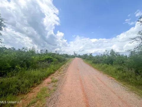 745 Ac Moody Rd, Lucedale, MS 39452 photo 25