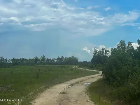 745 Ac Moody Rd, Lucedale, MS 39452 photo 30