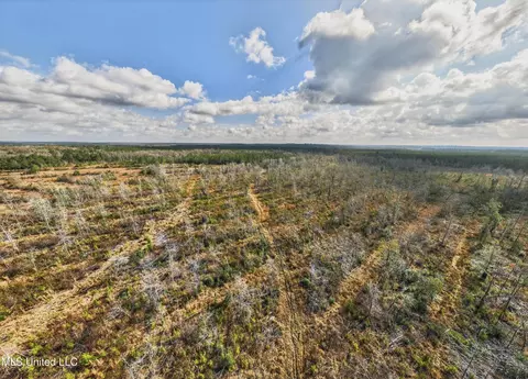 745 Ac Moody Rd, Lucedale, MS 39452 photo 12