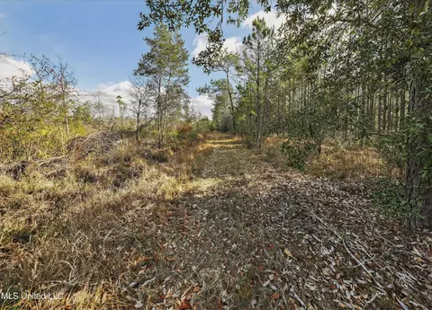 745 Ac Moody Rd, Lucedale, MS 39452 photo 14