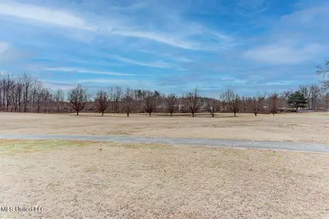 Other - 905 Fairway Pointe Cv, Hernando, MS 38632 photo 11 of 11