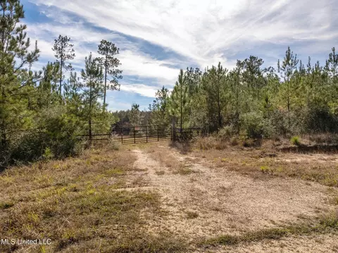 12 41 Acres Lott Town Rd, Sumrall, MS 39482 photo 5