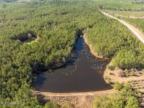 12 41 Acres Lott Town Rd, Sumrall, MS 39482 photo 10