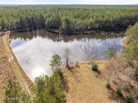 12 41 Acres Lott Town Rd, Sumrall, MS 39482 photo 7