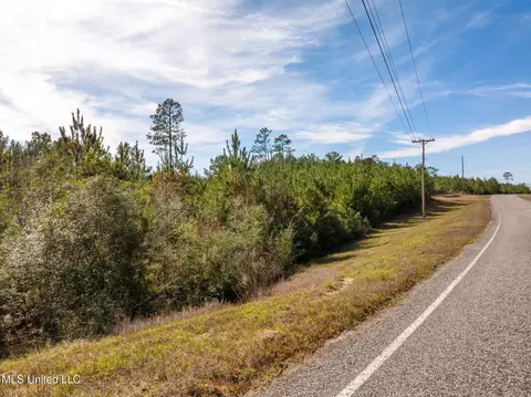 12 41 Acres Lott Town Rd, Sumrall, MS 39482 photo 4
