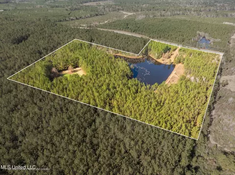 12 41 Acres Lott Town Rd, Sumrall, MS 39482 photo 2