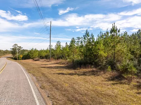 12 41 Acres Lott Town Rd, Sumrall, MS 39482 photo 3