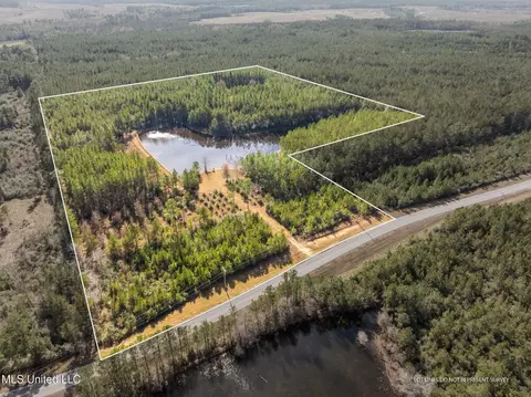 12 41 Acres Lott Town Rd, Sumrall, MS 39482