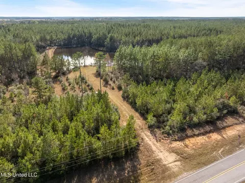 12 41 Acres Lott Town Rd, Sumrall, MS 39482 photo 6