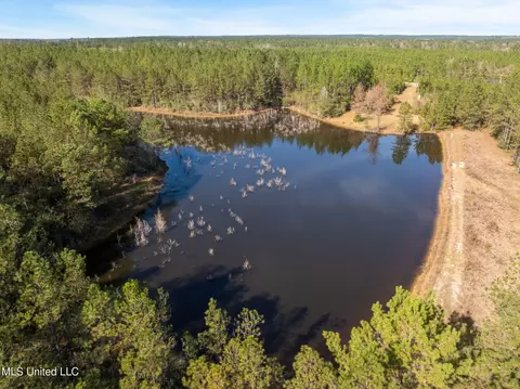 12 41 Acres Lott Town Rd, Sumrall, MS 39482 photo 8