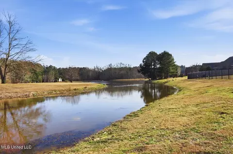 View/Area - 1154 Sanctuary Dr, Brandon, MS 39042 photo 1 of 1