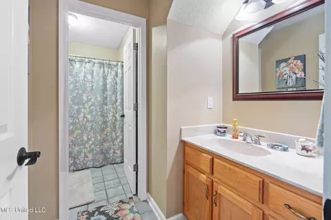 Bath - 4445 Robertson Gin Rd, Hernando, MS 38632 photo 4 of 5