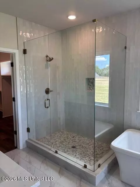 Bath - 5228 Crick Ln, Hernando, MS 38632 photo 4 of 7